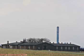 IMG_ (10764)
